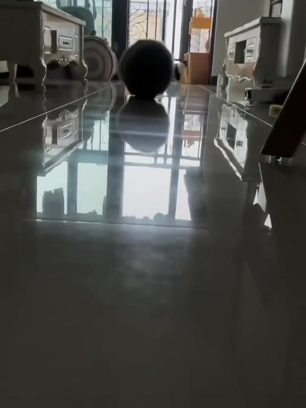 Уровень пушистости зашкаливает. Новости 18 INFOPULSE 3 Миниатюра видео