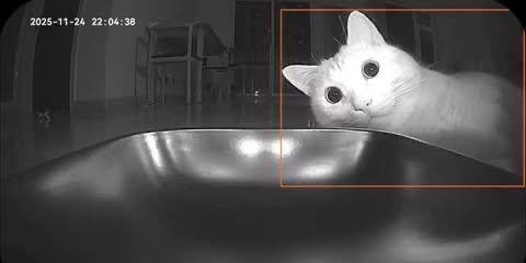 photo 17466
