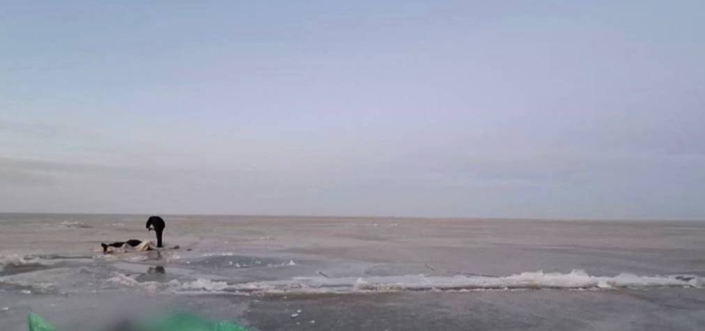 photo 20276