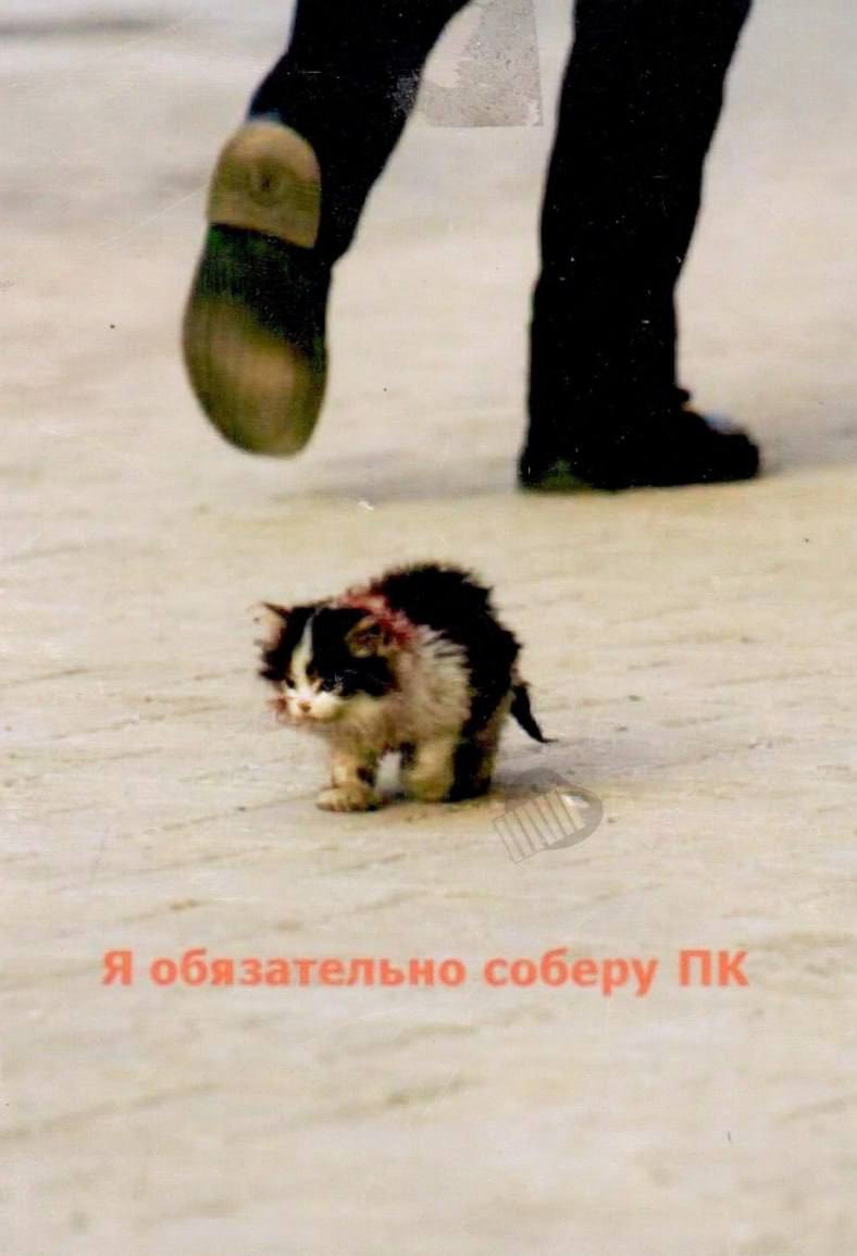 photo 3678