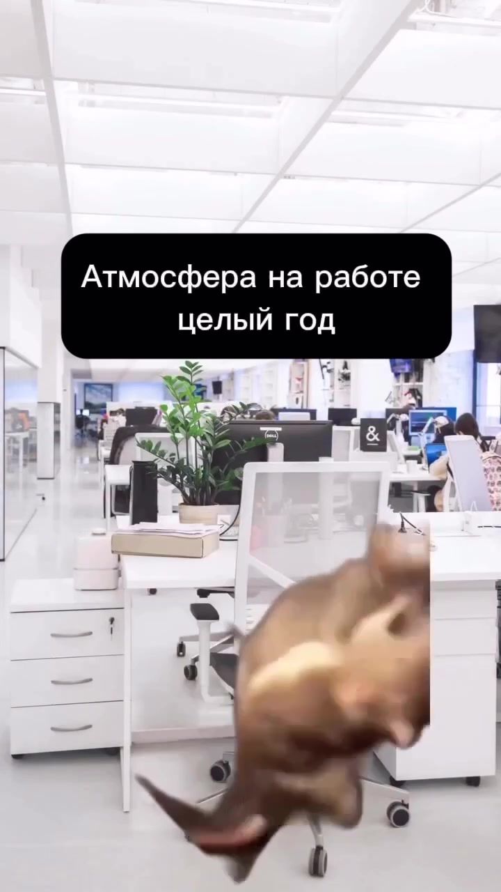video thumb 17014 thumb