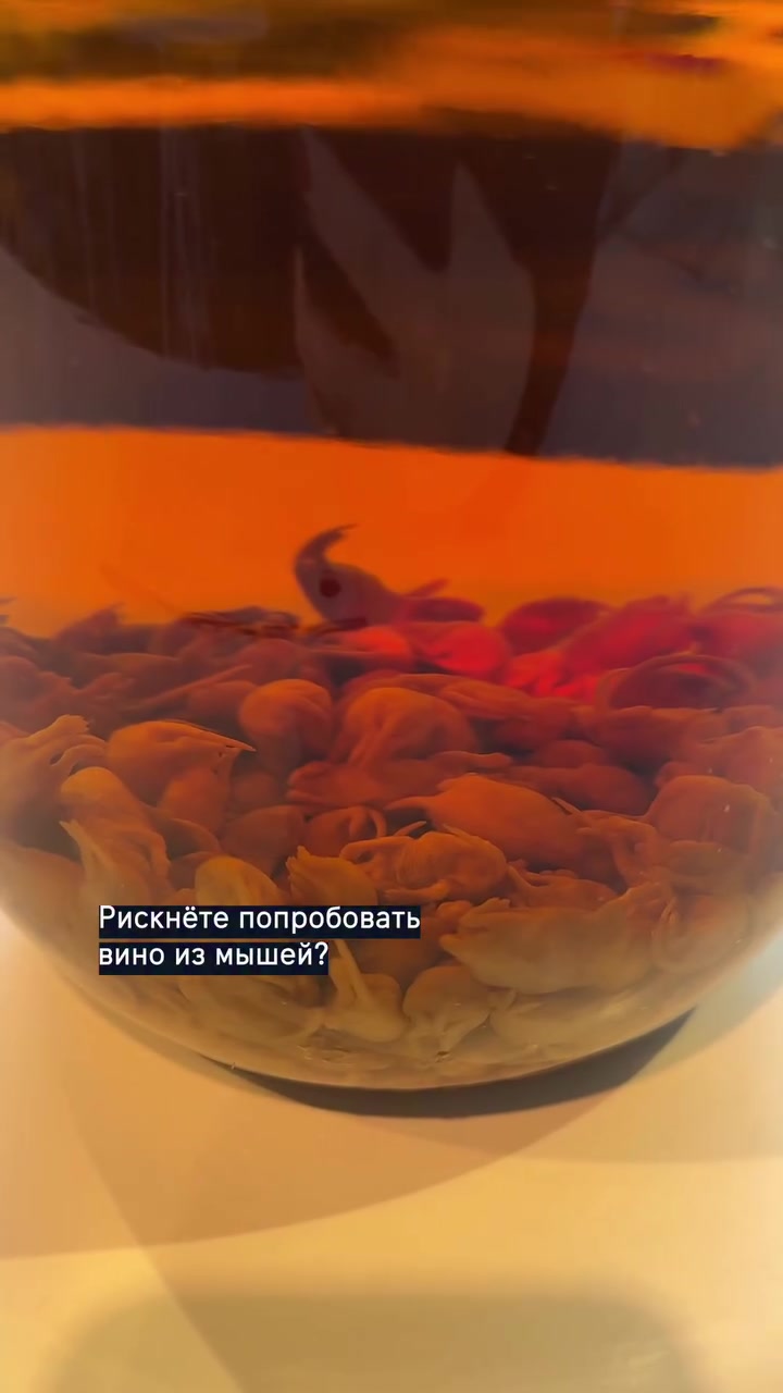 Миниатюра видео