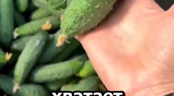 video thumb 1173 thumb