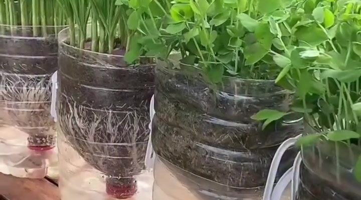 video thumb 1253 thumb
