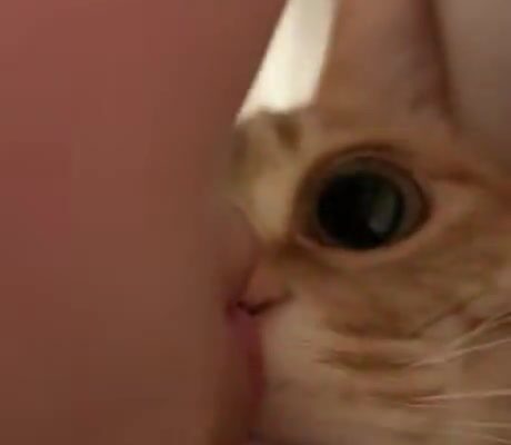 video thumb 9641 thumb