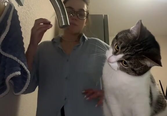 video thumb 9724 thumb
