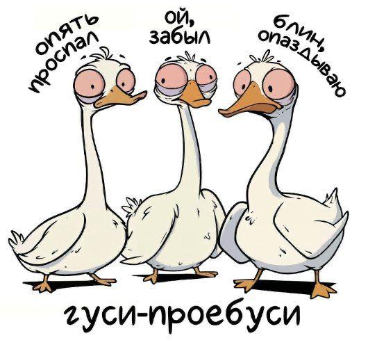 Администратор упомянул вас, чтобы поднять настроение!... 3 ⚠️Администратор упомянул вас, чтобы поднять настроение!Смешные картинки каждый день?Да! Всё это здесь 👉 Настроение в картинках👉 Дача | INFOPULSE