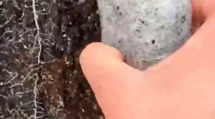 video thumb 1523 thumb
