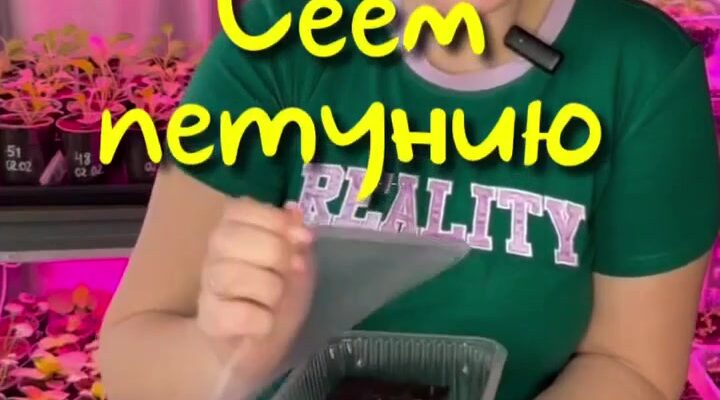 video thumb 1574 thumb