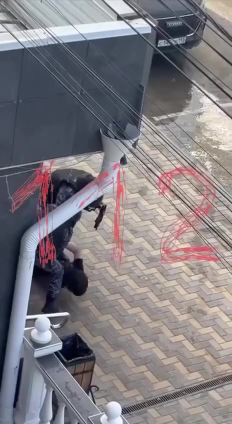 Миниатюра видео