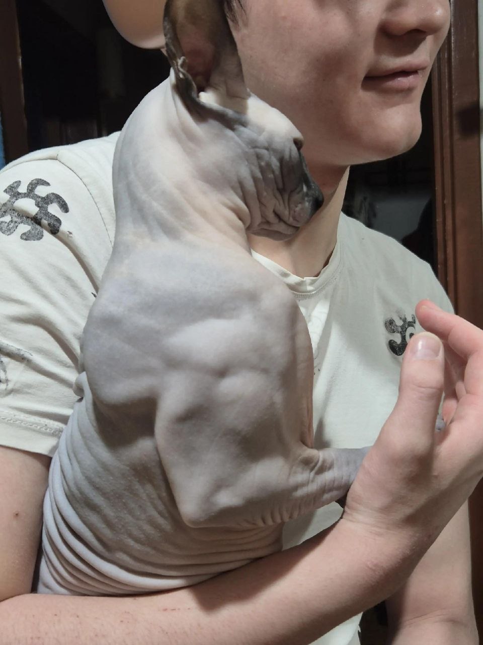 Какой же он мощный Юмор INFOPULSE