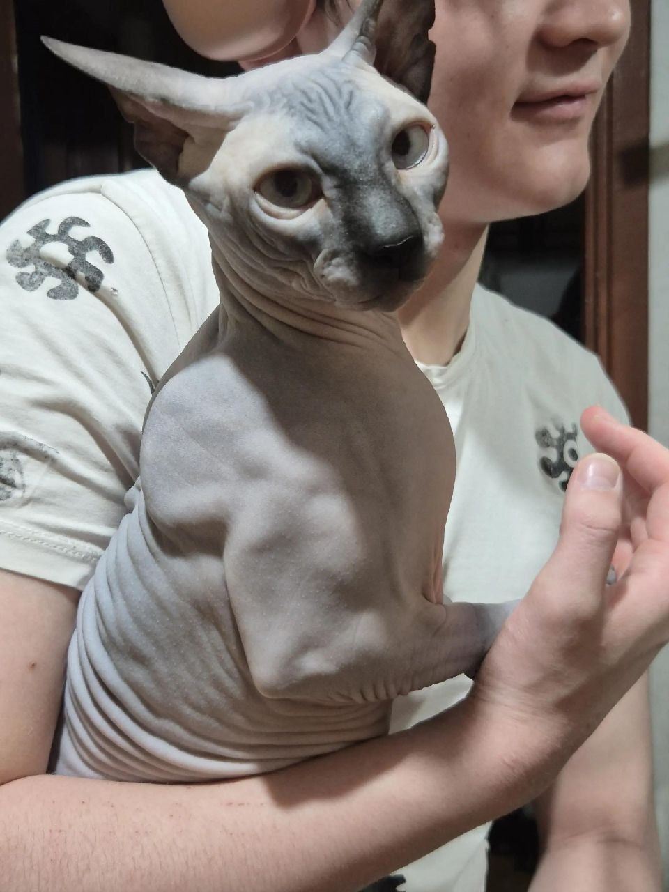Какой же он мощный Юмор INFOPULSE