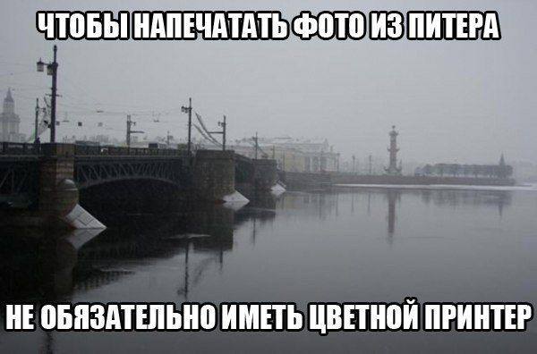photo 29310