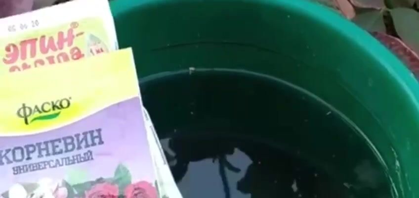 video thumb 1764 thumb