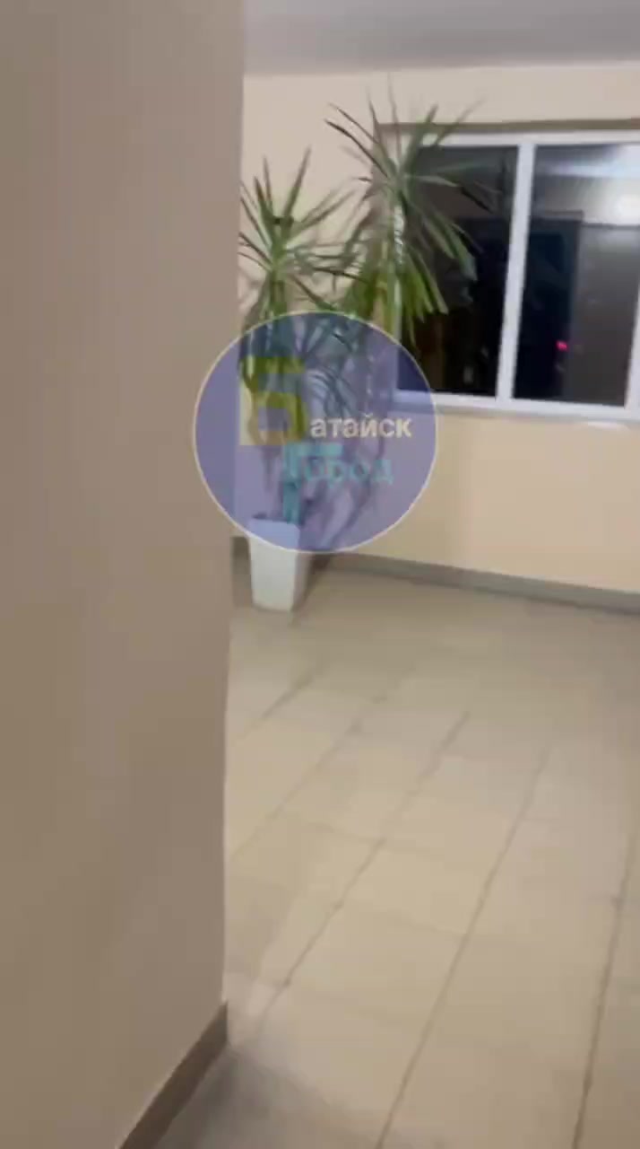 Миниатюра видео