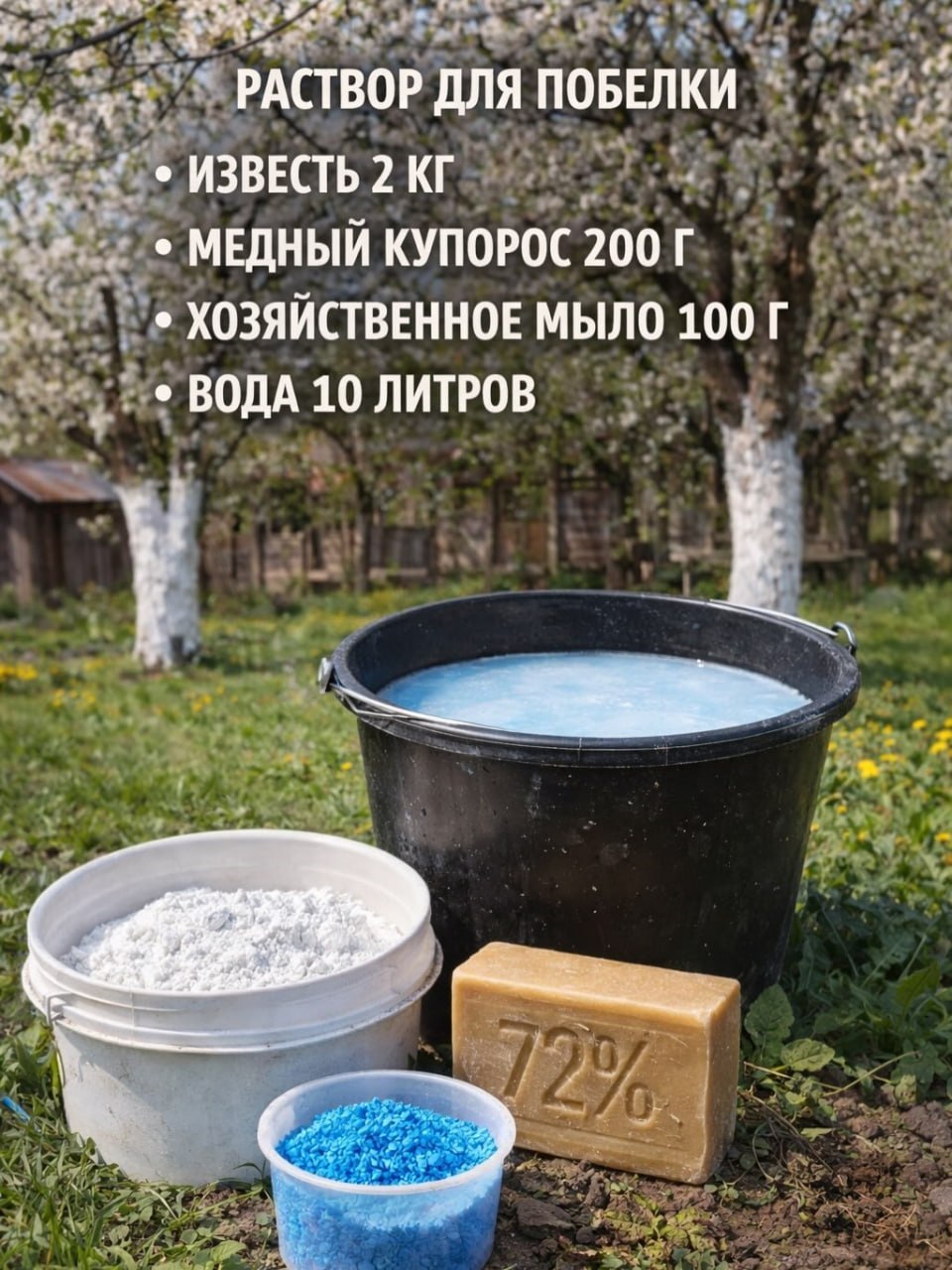 Как правильно побелить деревья весной? Дача INFOPULSE