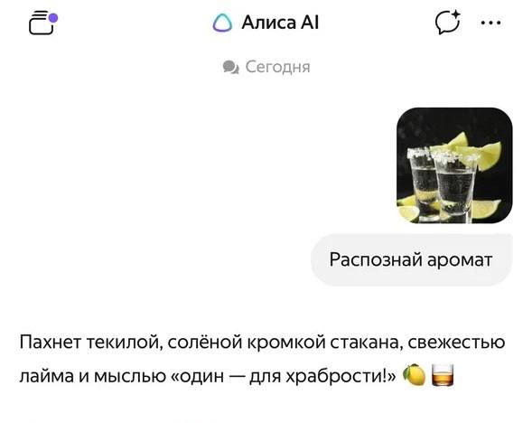 В Алисе AI впервые в мире появилась функция распознавания... 9 В Алисе AI впервые в мире появилась функция распознавания...