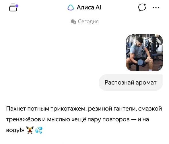 В Алисе AI впервые в мире появилась функция распознавания... 11 В Алисе AI впервые в мире появилась функция распознавания...