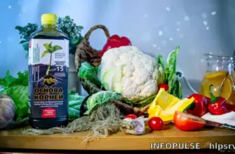 Фульвокислоты и 15 элементов: как создать идеальный микроклимат для корней