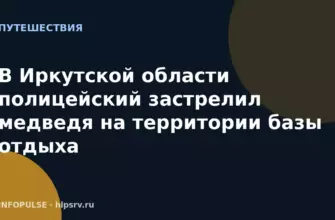 В Иркутской области полицейский застрелил медведя на территории базы отдыха