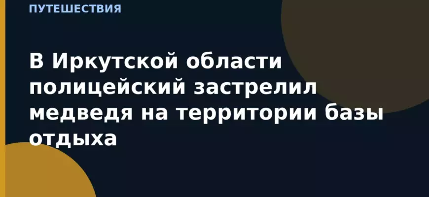 В Иркутской области полицейский застрелил медведя на территории базы отдыха