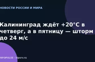 Калининград ждёт +20°C в четверг, а в пятницу — шторм до 24 м/с