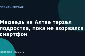 Медведь на Алтае терзал подростка, пока не взорвался смартфон 6 Медведь на Алтае терзал подростка, пока не взорвался смартфон