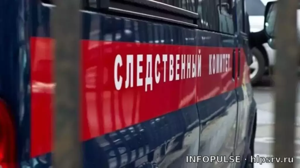 Молоток и холодильник: в Петербурге убиты пенсионерка и двухлетний ребенок 2 Молоток и холодильник: в Петербурге убиты пенсионерка и двухлетний ребенок. Источник: Москва 24