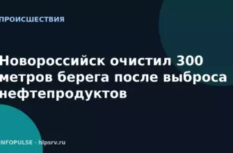 Новороссийск очистил 300 метров берега после выброса нефтепродуктов