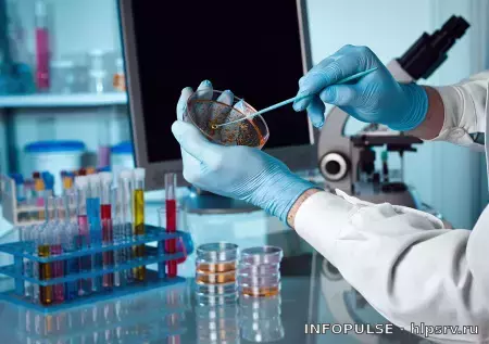 Солнце выбросило вспышку M6.7: плазменное облако ударит по Земле 3 Солнце выбросило вспышку M6.7: плазменное облако ударит по Земле — фото 2 из 2, источник: Google Trends · NEWS.ru