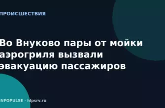 Во Внуково пары от мойки аэрогриля вызвали эвакуацию пассажиров